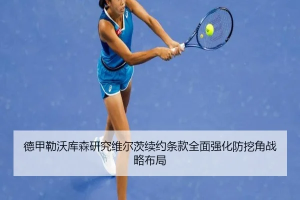 de-jia-lei-wo-ku-sen-yan-jiu-wei-er-ci-xu-yue-tiao-kuan-quan-mian-qiang-hua-fang-wa-jiao-zhan-lve-bu-ju-2-783.jpg